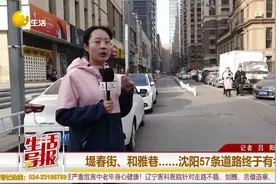 堤春街、和雅巷……沈阳57条道路终于有名字啦视频封面