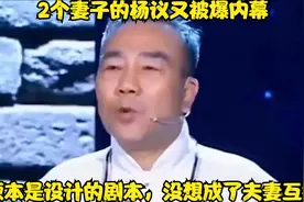 2个妻子的杨议又被爆内幕：原本是设计的剧本，没想成了夫妻互撕