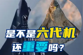 鹰子啊，开门，爹地！今日长缨在手，何时缚住苍龙？视频封面