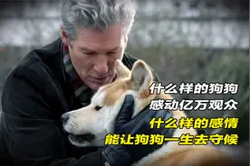 一只狗狗感动亿万观众，到底是什么样的感情