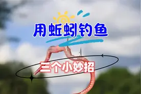 用蚯蚓钓鲫鱼的三个小妙招，能弥补蚯蚓缺陷还会使垂钓效果翻倍视频封面