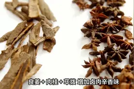 卤肉四十多种香料搭配法则，教你提香、去腥、上色用法，记得收藏视频封面