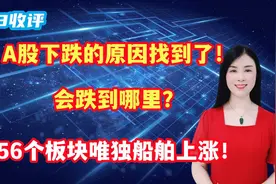 A股下跌的原因找到了！会跌到哪里？56个板块唯独船舶上涨！视频封面