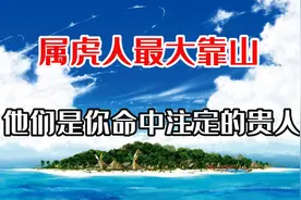 属虎人最大靠山是谁，他们是你命中注定的贵人！视频封面