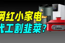 代工、贴牌、造假？网红小家电背后，你不知道的秘密！视频封面