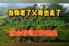 句句扎心：当你老了、再去兄弟姐妹家吃顿饭，就会明白三种因果！视频封面