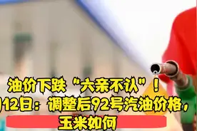 油价下跌“六亲不认”！9月12日：调整后92号汽油价格，玉米如何视频封面