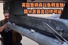 英国暂停向以色列发放部分武器出口许可证