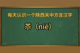 陕西关中方言汉字：苶（niē）视频封面