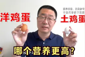 土鸡蛋和洋鸡蛋，哪个更好？医生却说：和你想的不一样