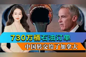 加拿大收到中国730万桶石油订单，特朗普主动求和，设下谈判期限视频封面
