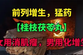 前列增生，猛药【桂枝茯苓丸】，女用消肌瘤，男用化增生视频封面