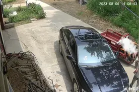 爷爷撞凹孙女的小车,含泪自责道歉，孙女泪崩:心疼的不是车是他们视频封面