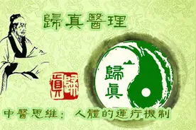中医思维：人体的运行机制视频封面