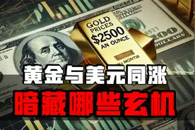 黄金与美元同涨玄机！人民币跨境双循环格局正逐渐浮现视频封面