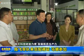 陈飞率队来岳阳调研 马娜参加视频封面