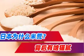 日本为什么米荒？背后有啥猫腻？有几种猜测视频封面