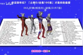 「土嗨DJ合集100首」无损音质、精准歌词匹配进度（四）