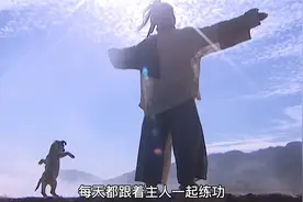 史上最牛的狗狗，每天伴随主人练功，竟也练成一身绝世武功。
