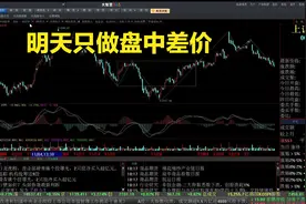 大智慧 - [上证指数] 2024-12-17 18-47-18视频封面