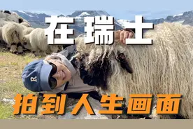 和妈妈一起，去瑞士的梦境里待了几天视频封面