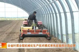 河北省叶菜全程机械化生产技术模式率先在邯郸市示范应用视频封面