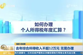 2024年度个税汇算将开始！去年综合所得收入不超12万元，无需办理视频封面