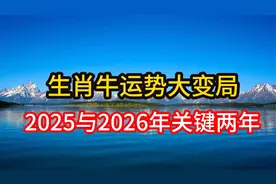 生肖牛运势大变局！2025与2026年关键两年，你准备好了吗视频封面