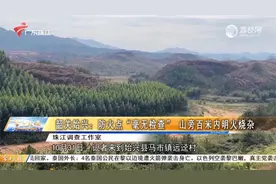 韶关始兴：防火点“毫无检查” 山旁百米内明火烧杂视频封面
