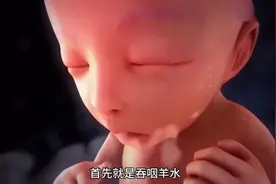 你知道胎儿每天都在宝妈肚子里做些什么吗？  #科普 #涨知识视频封面