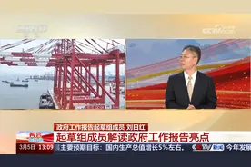 [两会你我他]政府工作报告起草组成员 DeepSeek读报告 能打几分？视频封面