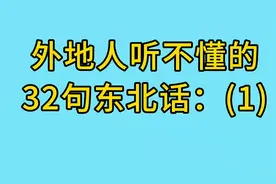 外地人听不懂的32句东北话：(1)视频封面