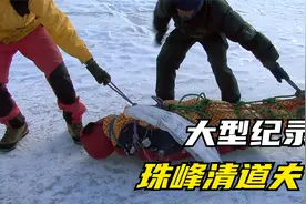 大型纪录片《珠峰清道夫》完整版，夏尔巴人冒死清理珠峰上的垃圾视频封面