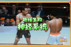 神经系统  趣懂生物视频封面