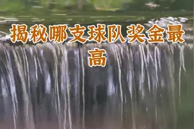 CBA历届冠军奖金，一起来看一下，哪个队奖金最高！视频封面