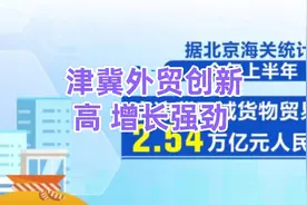 津冀外贸创新高 增长强劲视频封面