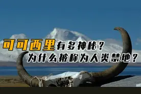 可可西里无人区有多恐怖，为何禁止进入？有什么见不得人的秘密？视频封面