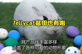 Jellycat！盐田也有啦！视频封面
