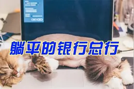 躺平的银行总行视频封面