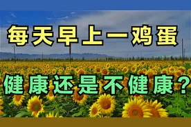 每天早上吃一个鸡蛋，健康还是不健康？早了解不吃亏。