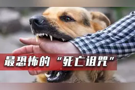 存活上千年的古老病毒，致死率高达100%，如今依旧令人闻风丧胆视频封面