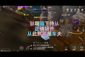 妄想山海驮城霸下侍从的培养方向，熊猫：我只配当小电驴？视频封面