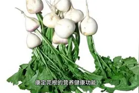 康定芫根的营养健康功能视频封面
