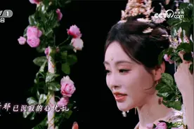 中央广播电视总台2025网络春晚：《春日花招》视频封面