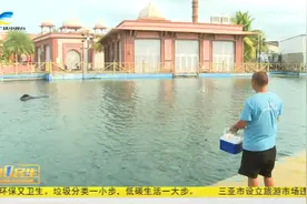 三亚搁浅的短肢领航鲸“海棠”恢复情况良好  或于5月放归大海视频封面