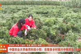 中国农业大学曲周科技小院：在服务乡村振兴中解民生 治学问视频封面