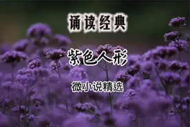微小说《紫色人形》作者毕淑敏