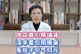 肉苁蓉引精填肾、淫羊藿引阳振奋、菟丝子引气归元视频封面