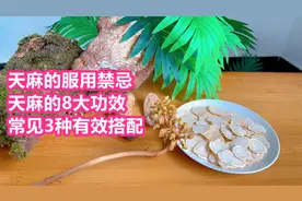 天麻的服用禁忌
天麻的8大功效
常见3种有效搭配视频封面