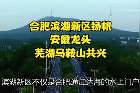 合肥滨湖新区扬帆，安徽龙头，芜湖马鞍山共兴！视频封面